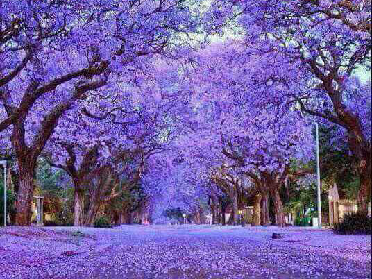 Harare