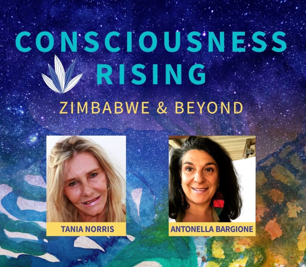 Consciousness Rising Zimbabwe and Beyond